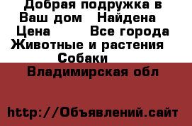 Добрая подружка,в Ваш дом!!!Найдена › Цена ­ 10 - Все города Животные и растения » Собаки   . Владимирская обл.